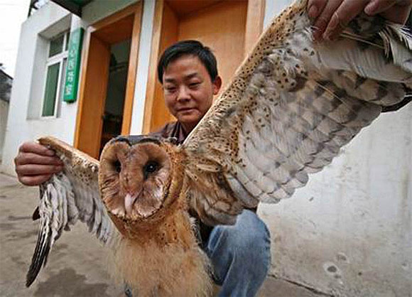 [-]Giải[-]mã[-]sự[-]thật[-]về[-]loài[-]chim[-]cất[-]tiếng[-]kêu[-]là[-]có[-]người[-]chết